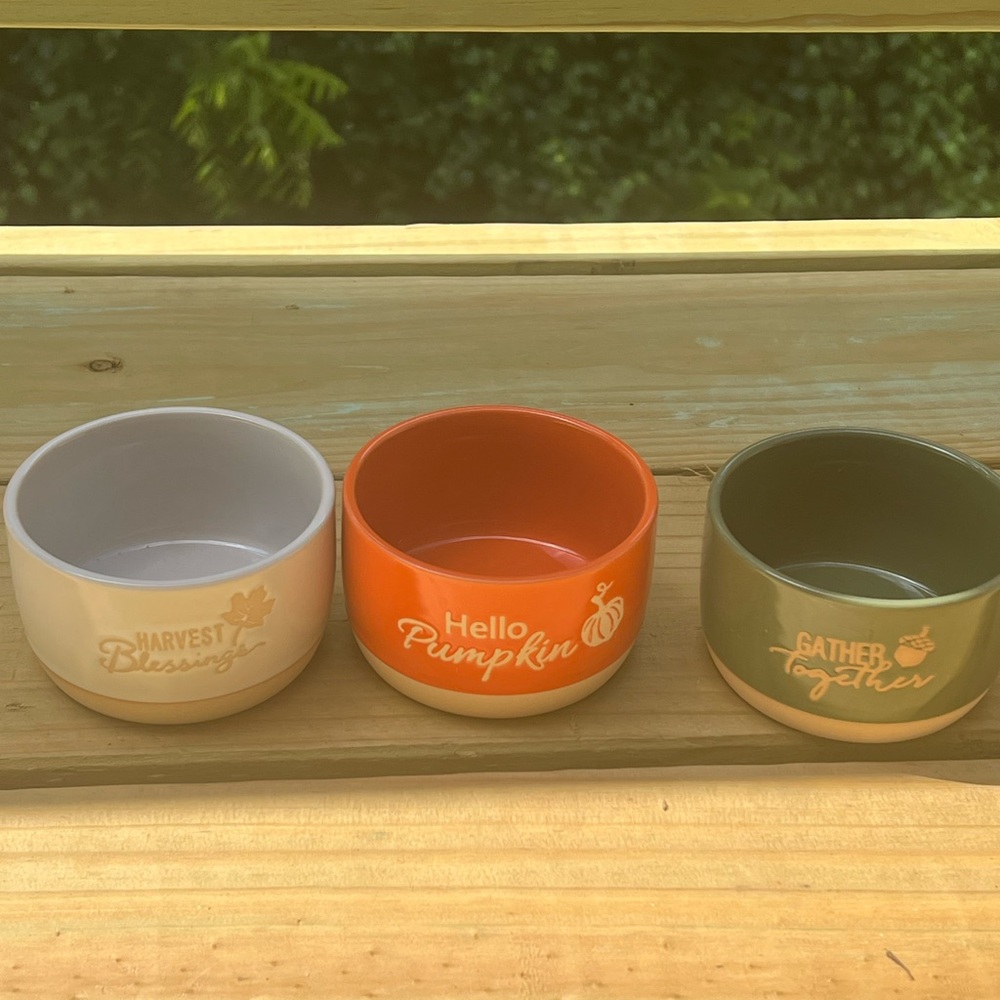 Set of Three Autumn-Themed Bowls